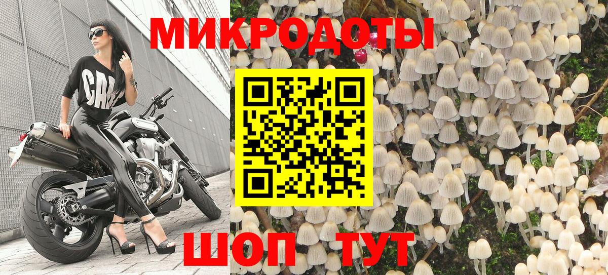 Нововоронеж  Псилоцибиновые грибы Psilocybine cubensis  Вход с VPN 